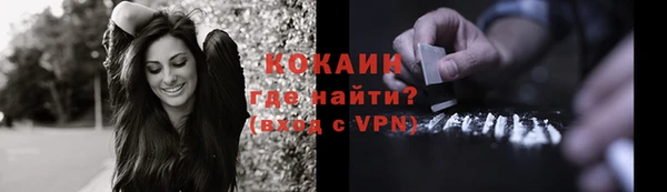 дурь Лабытнанги