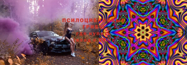 мескалин Ладушкин