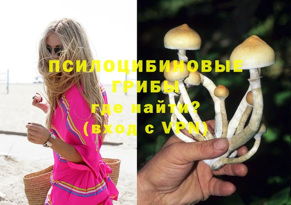 мескалин Ладушкин