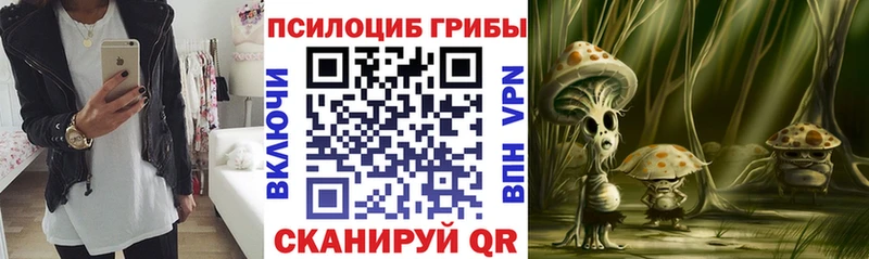 Псилоцибиновые грибы мицелий  сколько стоит  Людиново 