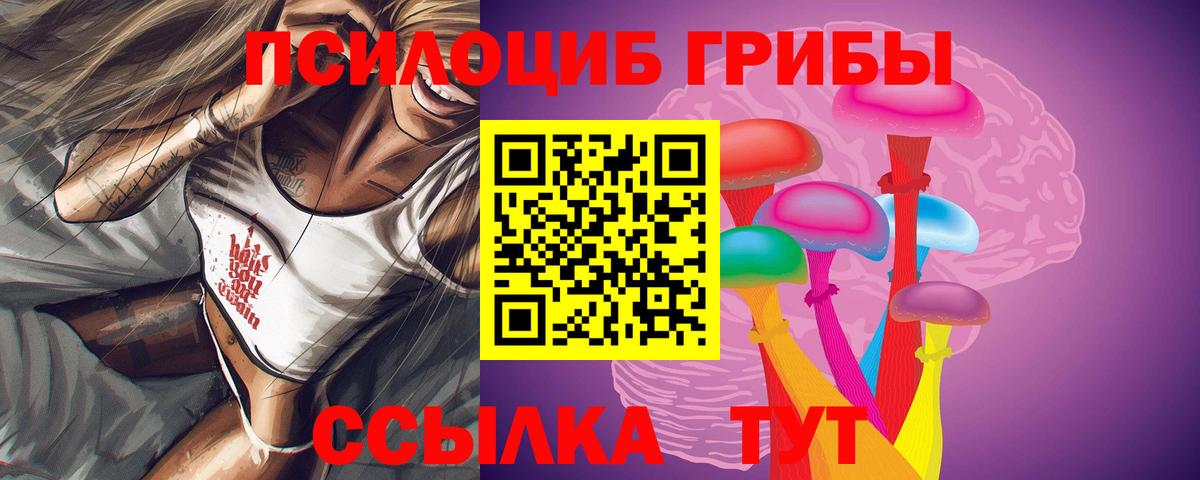 Галлюциногенные грибы мицелий  Вход с VPN  Псилоцибиновые грибы мицелий  Людиново 