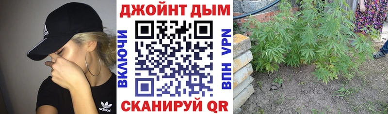 Бошки Шишки сатива  хочу   Людиново 